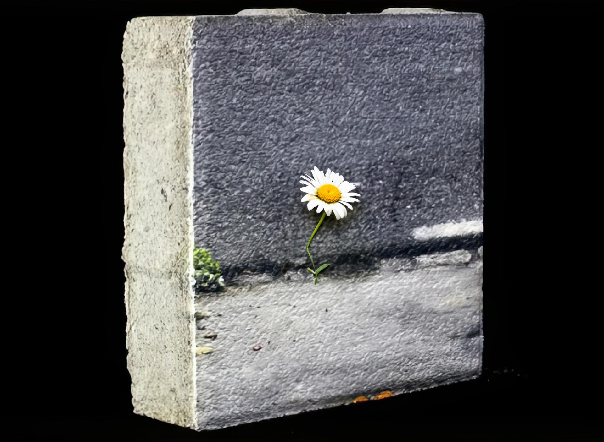 Stampa Diretta UV per Fotografia e Arte Contemporanea | Guida Completa